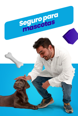 Seguro para mascotas