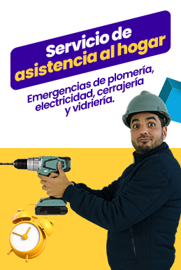 Servicio de asistencia